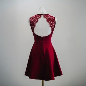 Lulu's Need You Close Wine Red Lace Backless Skater Dress